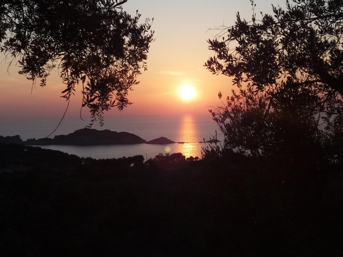 Villa Gecko, Arillas Kavvadades ภายนอก รูปภาพ